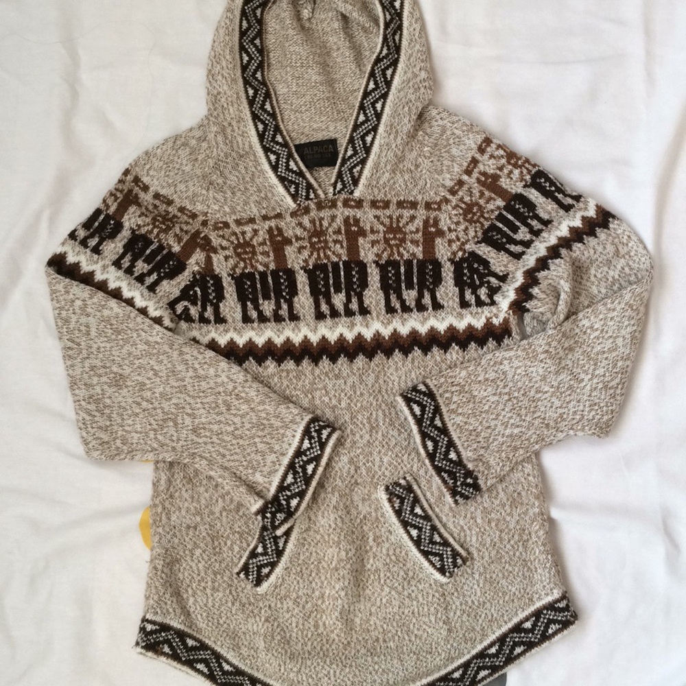 Alpaca Chi-to-Tex hooded sweater